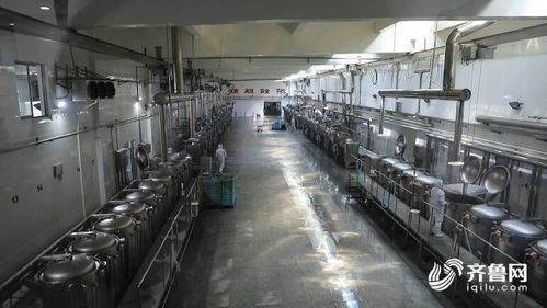 濰坊市坊子區(qū)食品安全產(chǎn)業(yè)聯(lián)盟 技術(shù)開(kāi)發(fā)助力企業(yè)質(zhì)效提升，定向解難題200多項(xiàng)